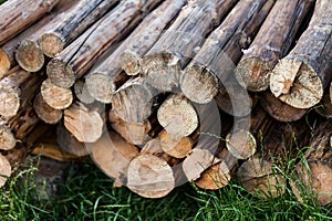 Pile of tree trunks with blurred background. Shallow focus on the tree trunks.