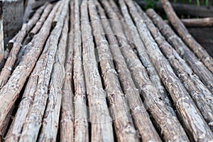 Pile of tree trunks with blurred background. Shallow focus on the tree trunks.