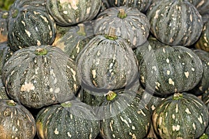 A Pile of Tropical Kabocha Japanese Pumpkin