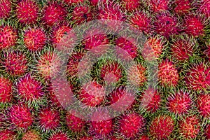 Pile of tropical rambutan fruits. Pink and spiky rambutan are piled on a table at a farmers market.