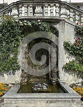 A pile of turtles soaking up the sun on a stone in a small pond in a niche on the front of Villa Carlotta in Tremezzo.