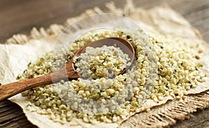 Pile of Uncooked Hemp seeds with a spoon