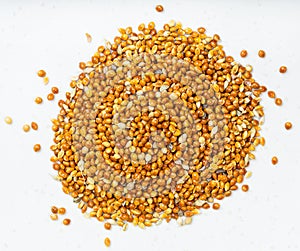 Pile of unhulled proso millet close up on gray photo