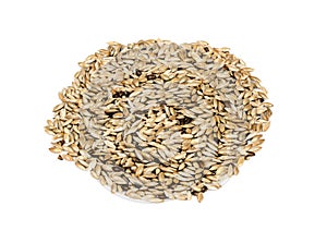 Pile of unhulled scagliola canary seeds on white photo