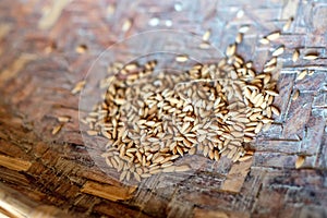 A pile of unpeeled rice in woven bowl