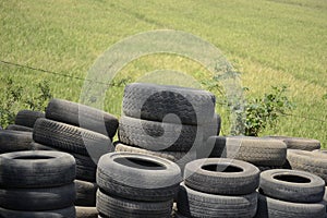 pile of used tires near the rice fields.