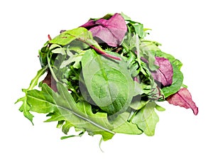 Pile of various leaves of leafy greens cut out