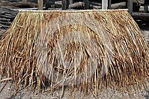 Pile of vetiver for hut roof. panel of vetiver for hut roof, straw roof hut panel