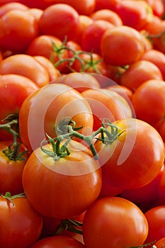 Pile of vined tomatoes