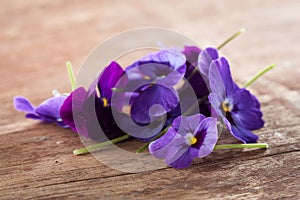 Pile of violet eatable flowers