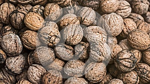 Pile of walnuts