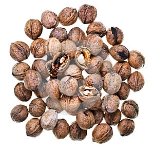 Pile of walnuts