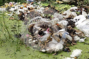 Pile of Waste plastic bags and dried leaves, Plastic bags in the lake waste water rotten, Garbage moss in sewage dirty water river