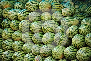 Pile of watermelons Goa India