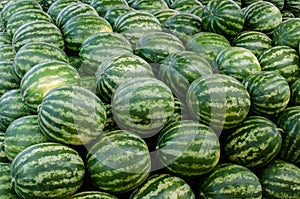 Pile of watermelons in the markeplace