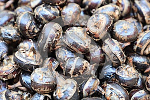 Pile of waternut or chinese water chestnut in for sale in the market in the north of thailand