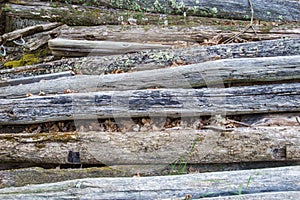 Pile of Weathered Log