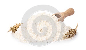 Pile of wheat flour and spikes isolated on white