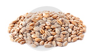 Pile of wheat grains on background. Cereal crop