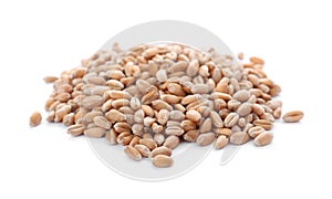 Pile of wheat grains on white background