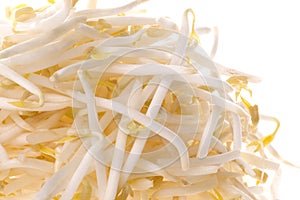 Pile of white bean sprouts