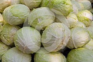 Pile of white cabbage at an Indian food market