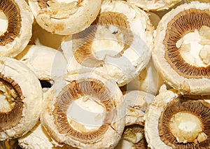 Pile of of white Champignon mushrooms
