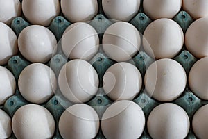 Pile of white eggs in the package