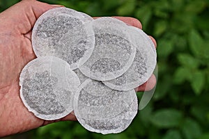 A pile of white round paper tea bags lie on an open palm on a hand