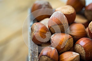 Pile of whole hazelnuts in wood box on garden table, close up, vibrant color, top view view, cozy autumn atmosphere