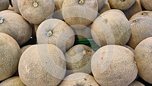 Pile of whole melon, honeydew melon or cantaloupe (Cucumis melo). photo