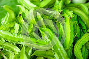 Pile of winged beans in the market