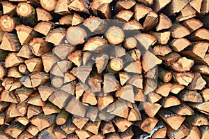 Pile of wood