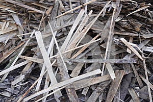 A pile of wood chips left over from processing dry wood as fuel in a factory