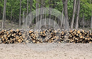 Pile of wood