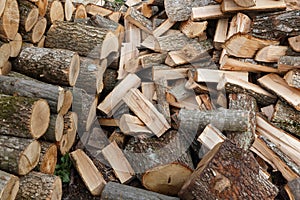 Pile of wood
