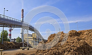 Wood and biomass plant photo