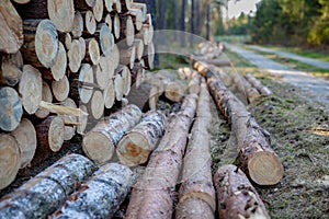 A pile of wood by a concrete road in a forested area. Works carried out when harvesting timber