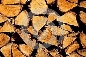 Pile of wood cut for fireplace