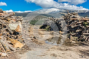 Pile of wood destined as heating fuel