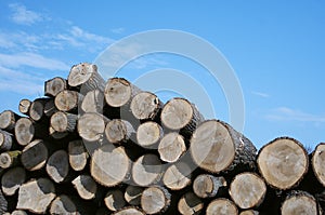 Pile of wood in horizontal