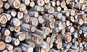 Pile of wood logs background