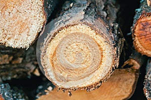 Pile of wood logs detail