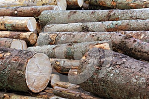 Pile of wood logs for heating purpose