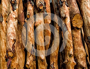 Pile of wood logs ready for winter - wood logs background