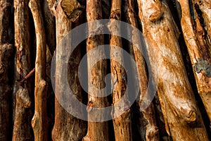 Pile of wood logs ready for winter - wood logs background