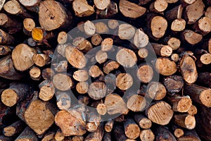 Pile of wood logs ready for winter - wood logs background