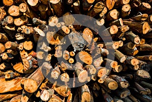 Pile of wood logs ready for winter - wood logs background