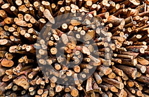 Pile of wood logs ready for winter - wood logs background