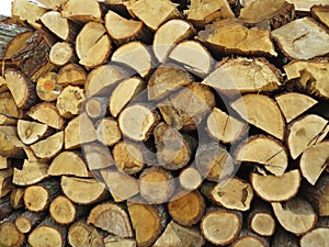 Pile of Wood Logs Stacked Straightened to Wooden Wall Background